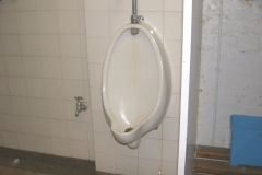 mens_shower_urinal